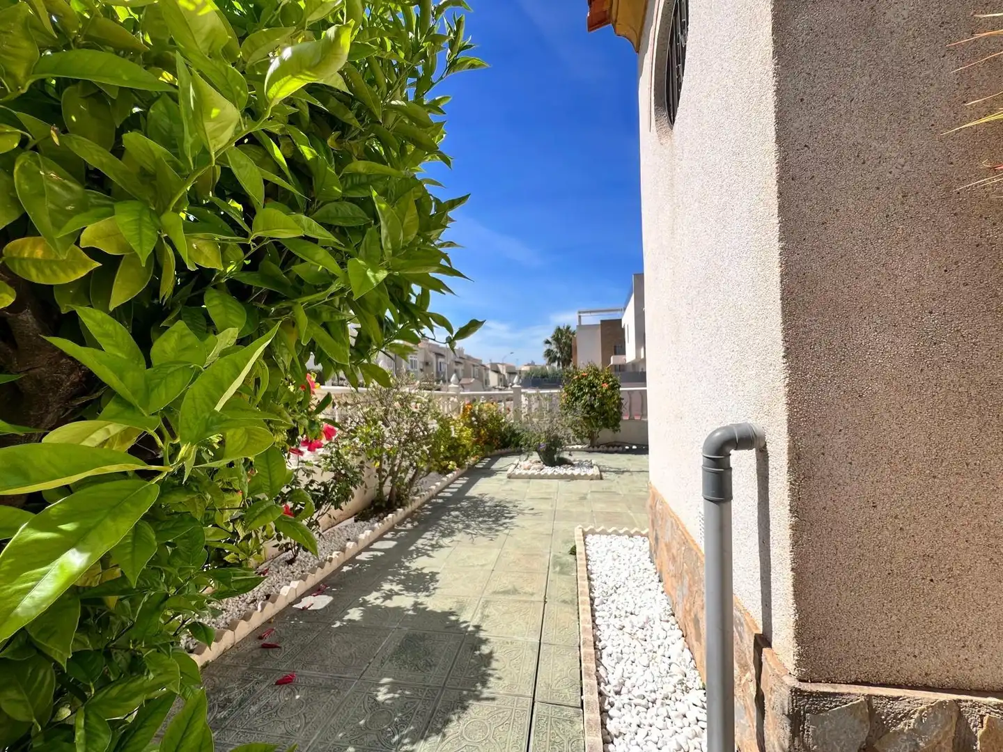 Maisonette mit Pool zum Verkauf in Calle fischer, imagen 6