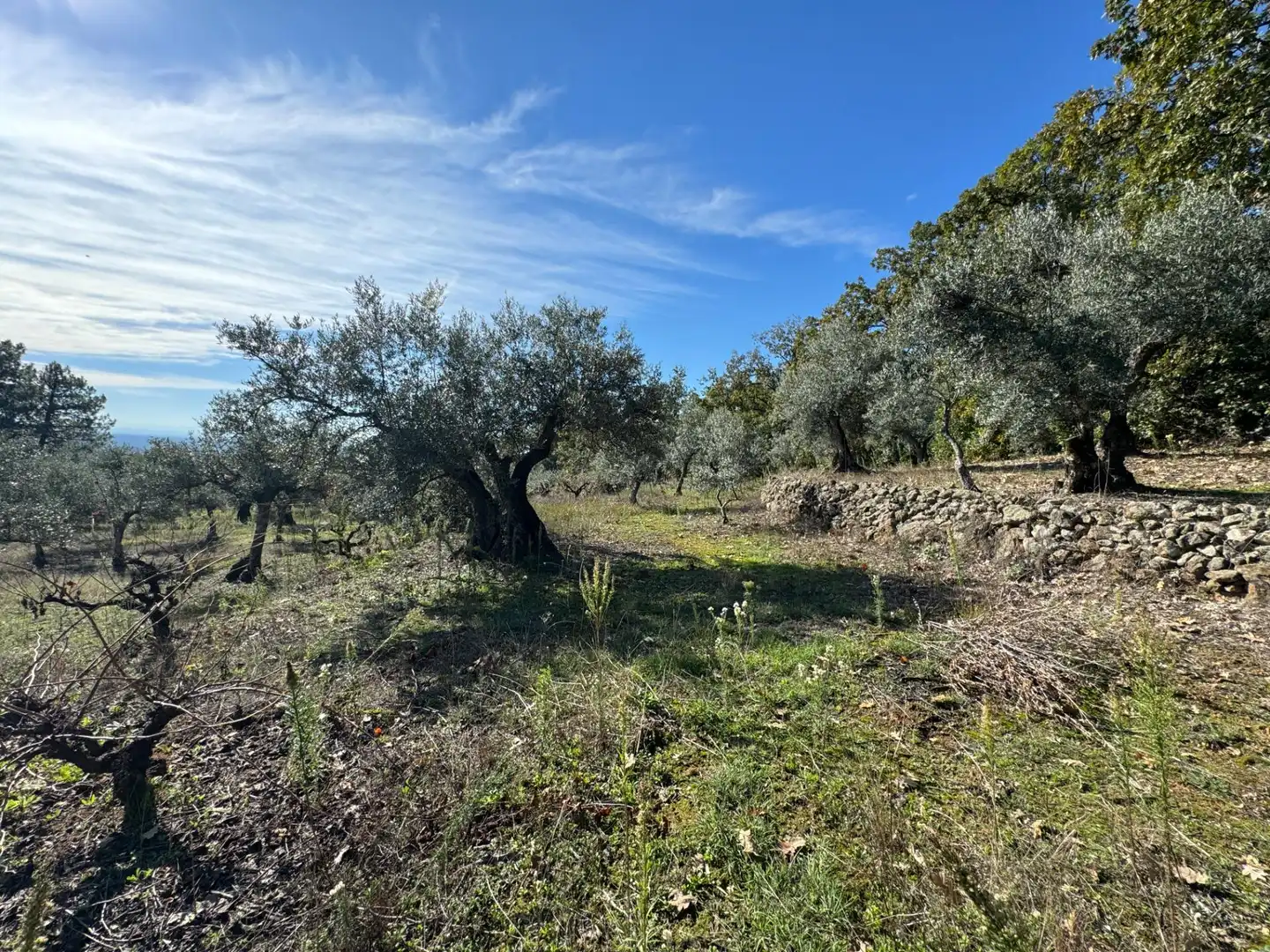 Finca rústica en venta en Candeleda con Jardín privado