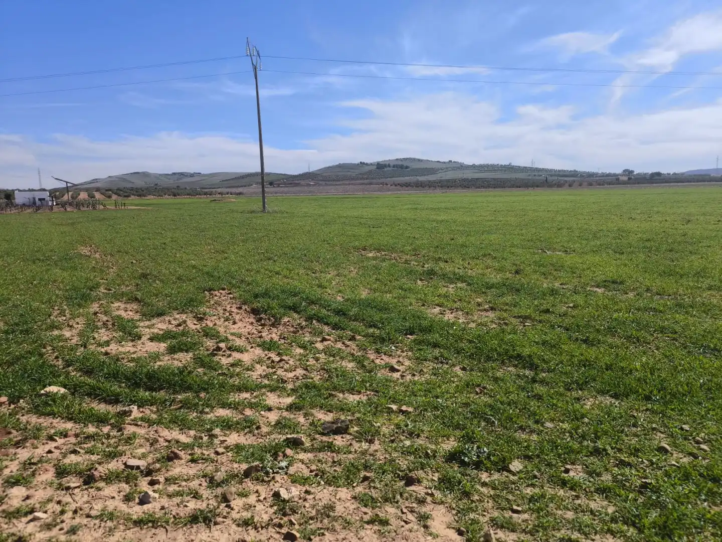 Casa rústica en venda a Valdepeñas, imagen 11