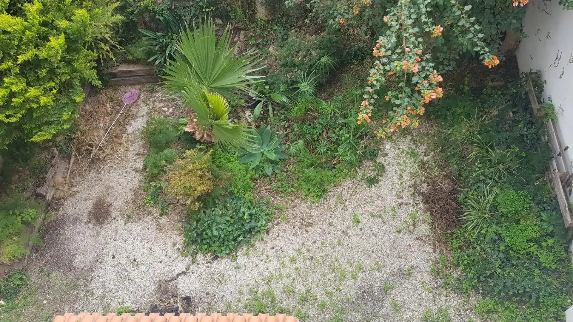 Jardí de Dúplex en venda en Cartagena amb Balcó