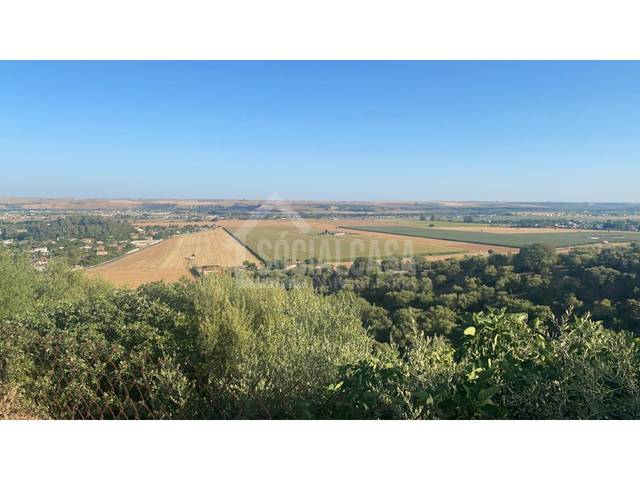 Casa-chalet en Alquiler en Almodóvar del Río