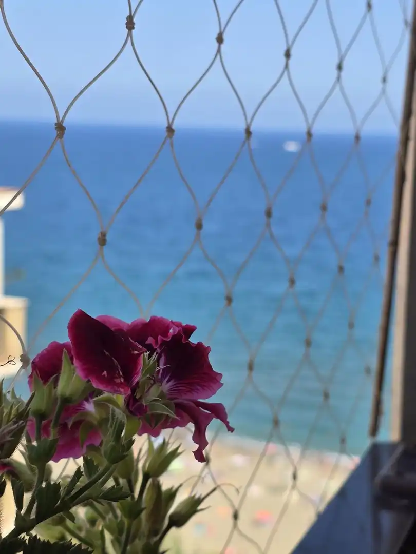 Garden of Flat for sale in Málaga  with Air Conditioner, Heating and Terrace