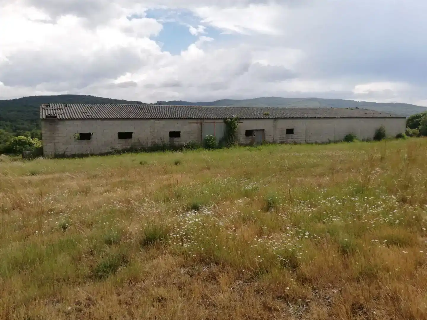 Finca rústica en venta en Os Blancos 