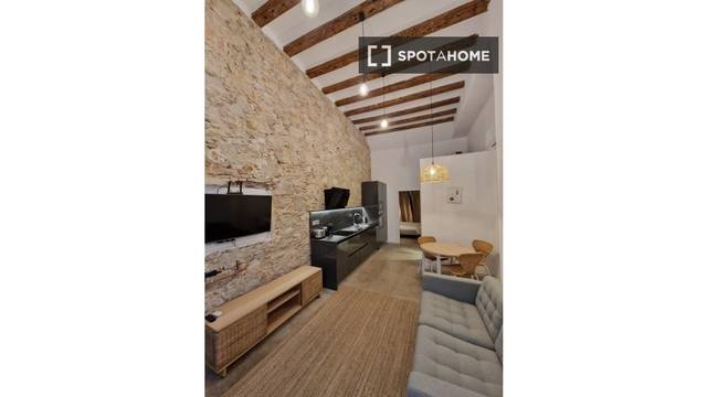 Piso en Alquiler en El Raval