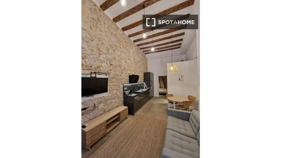 Flat with terrace to rent in Ciutat Vella