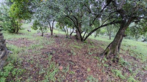 FINCA A 3 KM DE PLASENCIA, imatge 5