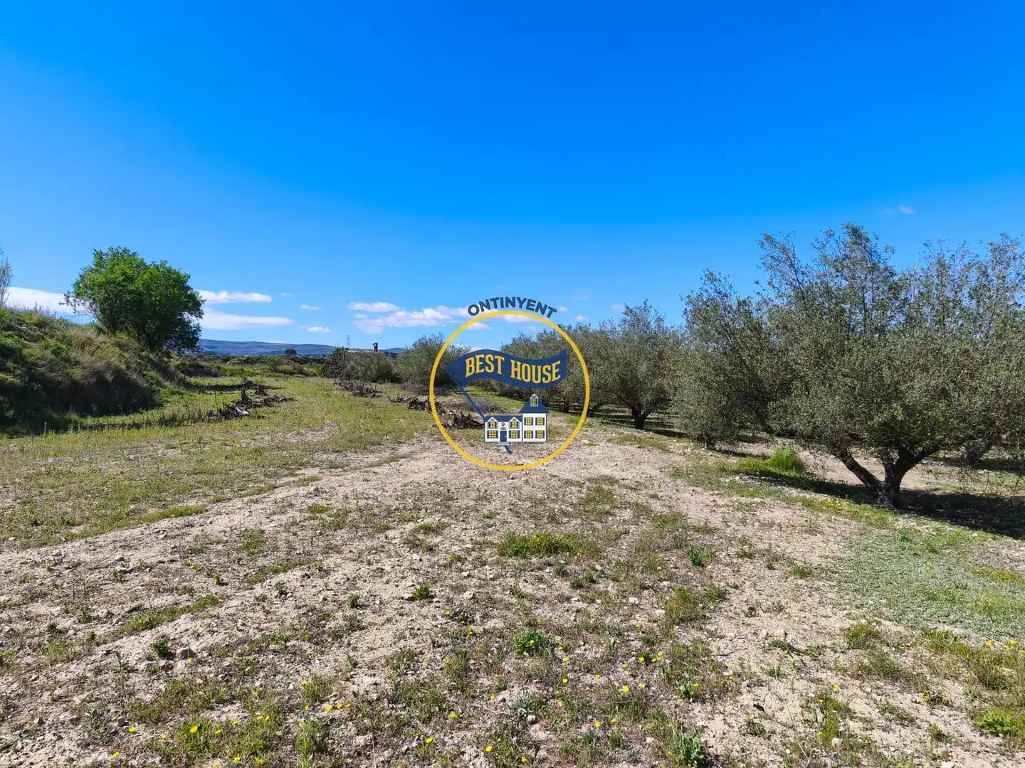 House for sale in Albaida, imagen 34