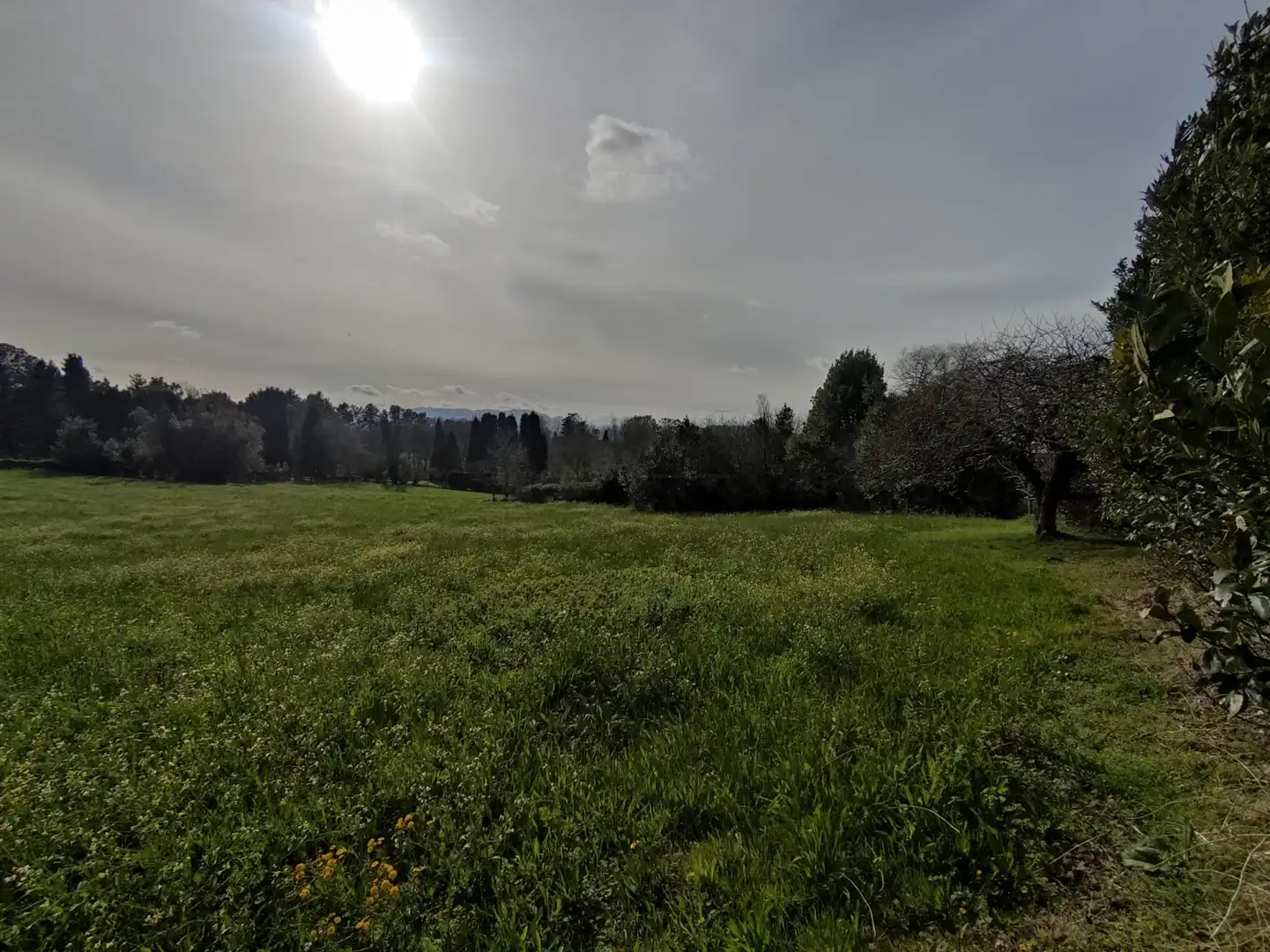 Terreni e lotti in vendita a Barganiza, La - Polígono 72 Parcela 150, imagen 8