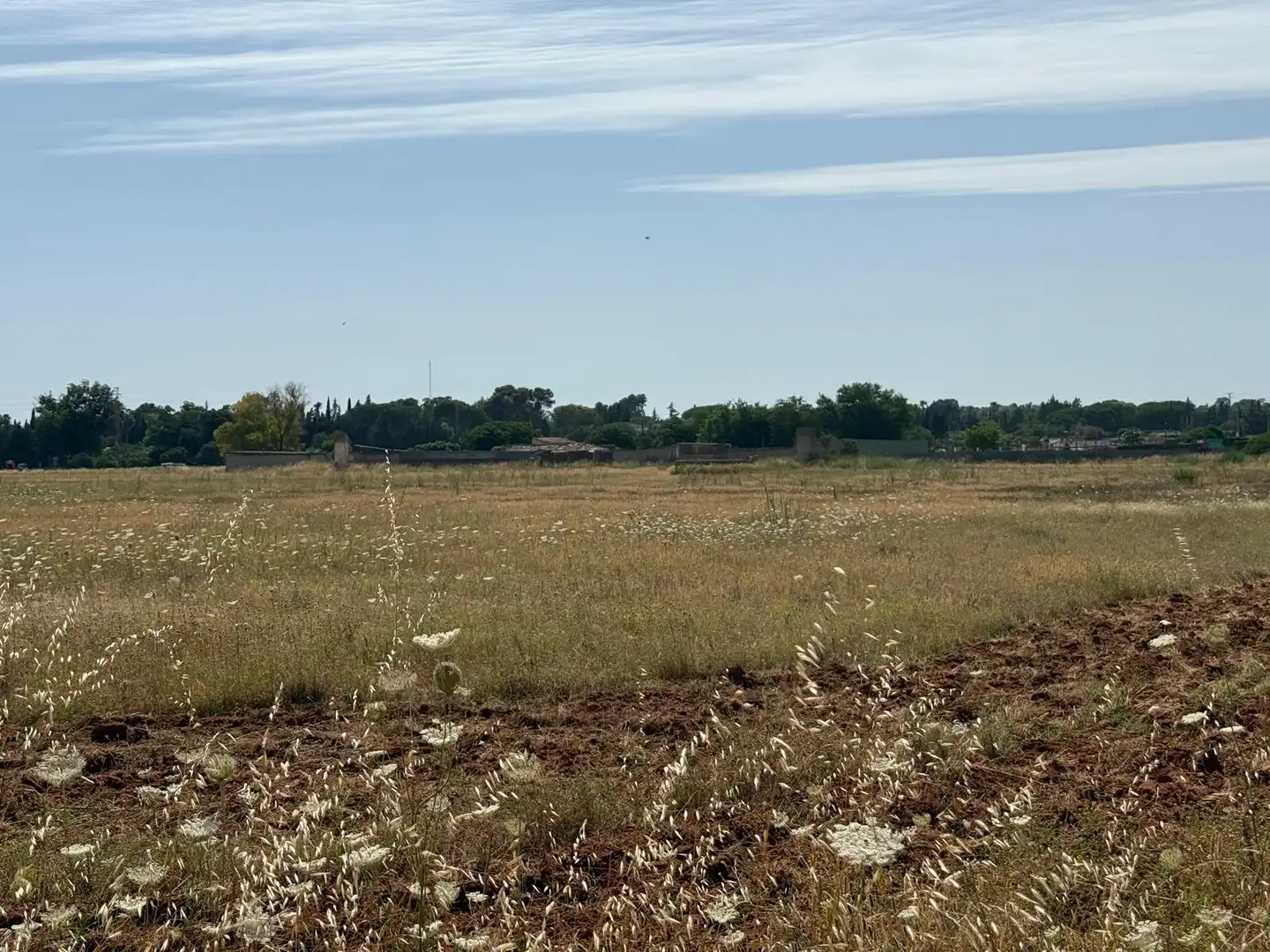 Wohnbaugrundstück zum Verkauf in Camino de Montealegre Alto, imagen 6