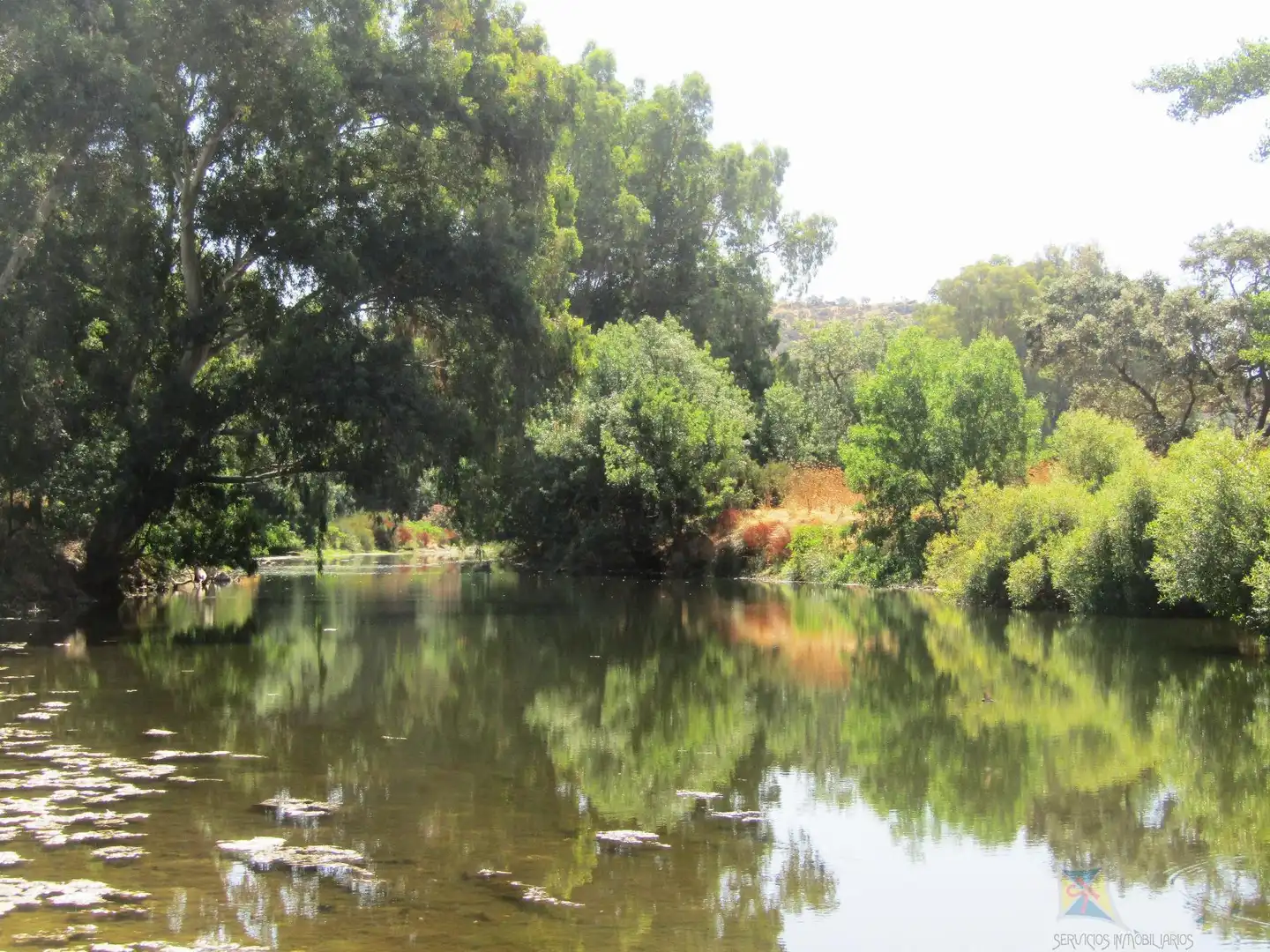 Vista exterior de Finca rústica en venta en Encinasola