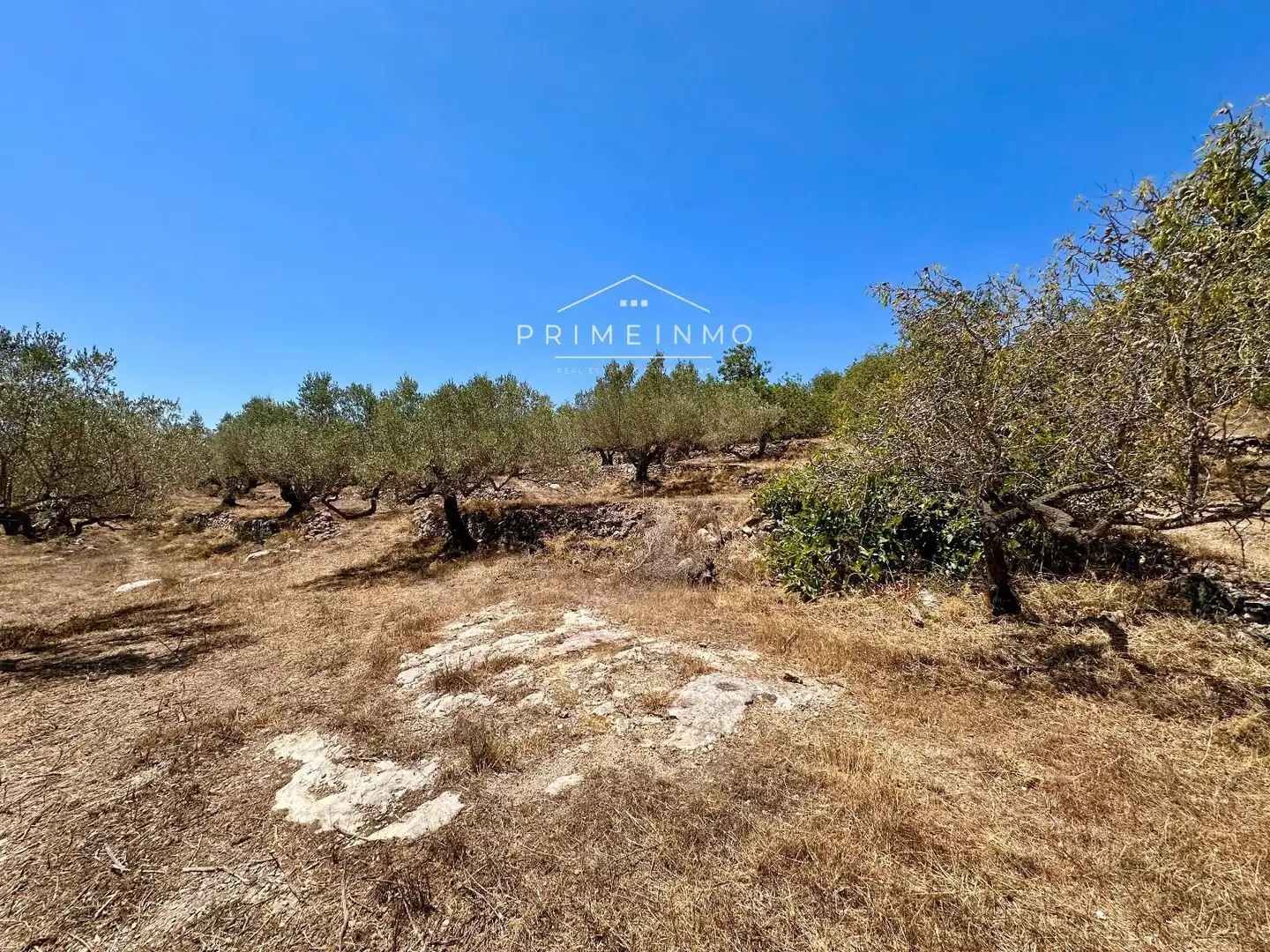 Finca rústica en venta en L'Ametlla de Mar 