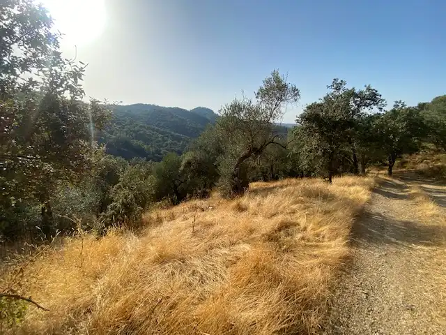 Terrenos y solares en venta en La Nava, imagen 11