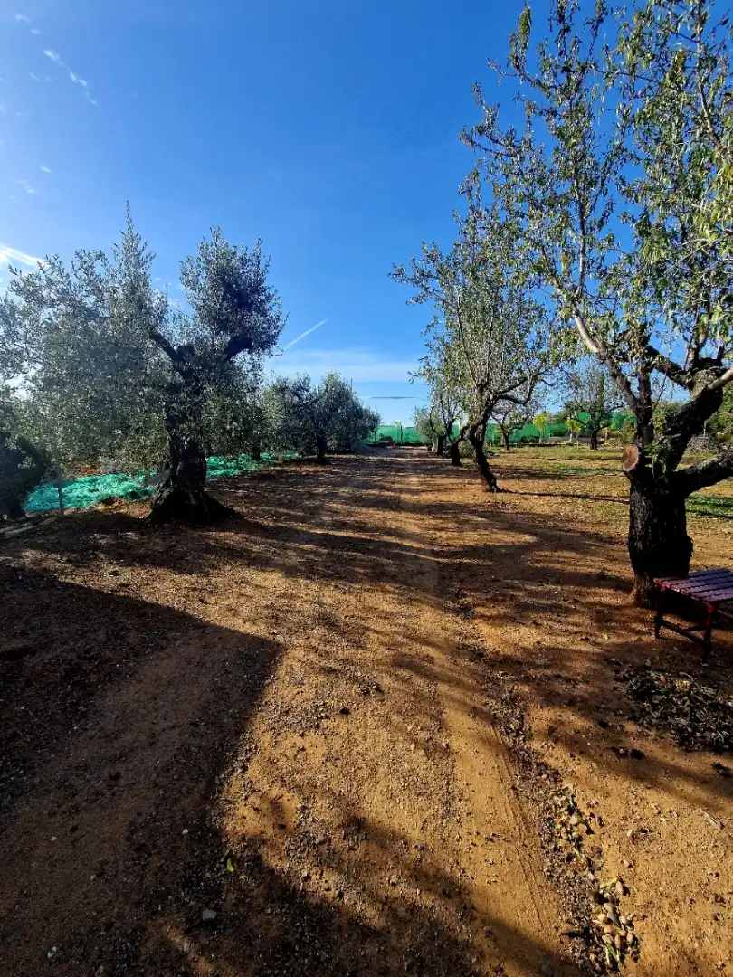 Terrain rustique à vendre à Camí de Perafita 71, imagen 6