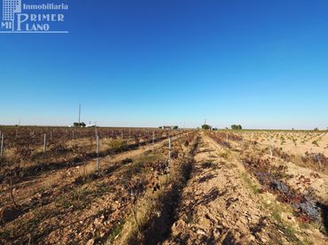 Terreno residenziale in vendita a Tomelloso