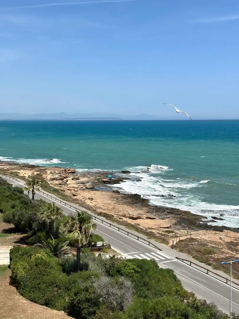 Vista exterior de Apartament en venda en Playa de los Locos
