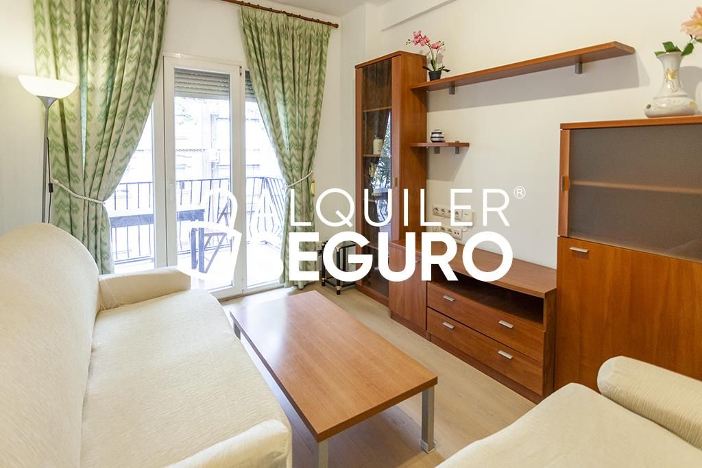 Living room of Flat to rent in  Madrid Capital  with Heating, Terrace and Furnished