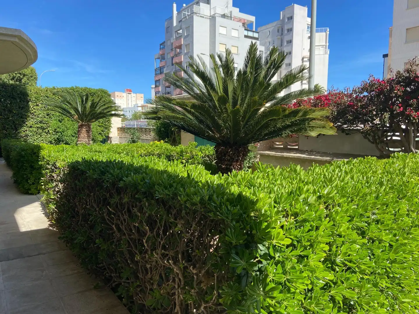 Mini appartamento con piscina in affitto a Playa de Gandia