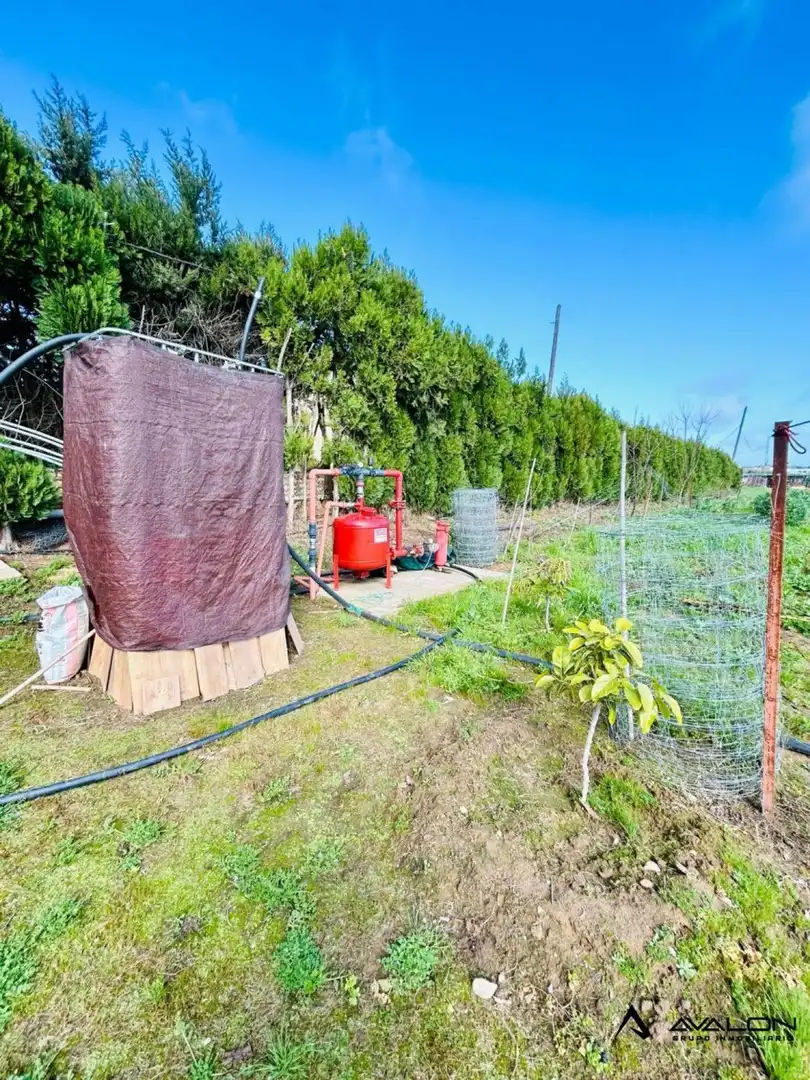 Jardí de Finca rústica en venda en Aljaraque amb Jardí privat, Terrassa i Traster