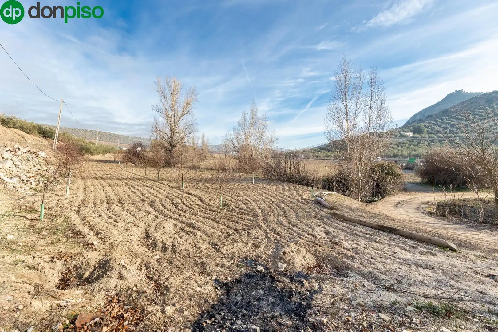 Finca rústica en venta en Calle CAGALONA, 3, Píñar
