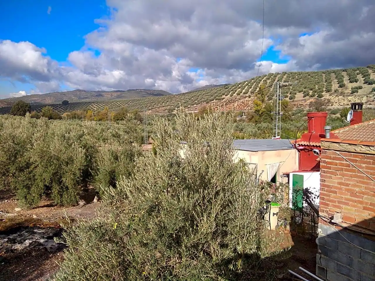 Jardín de Finca rústica en venta en Benalúa de las Villas con Jardín privado, Terraza y Trastero