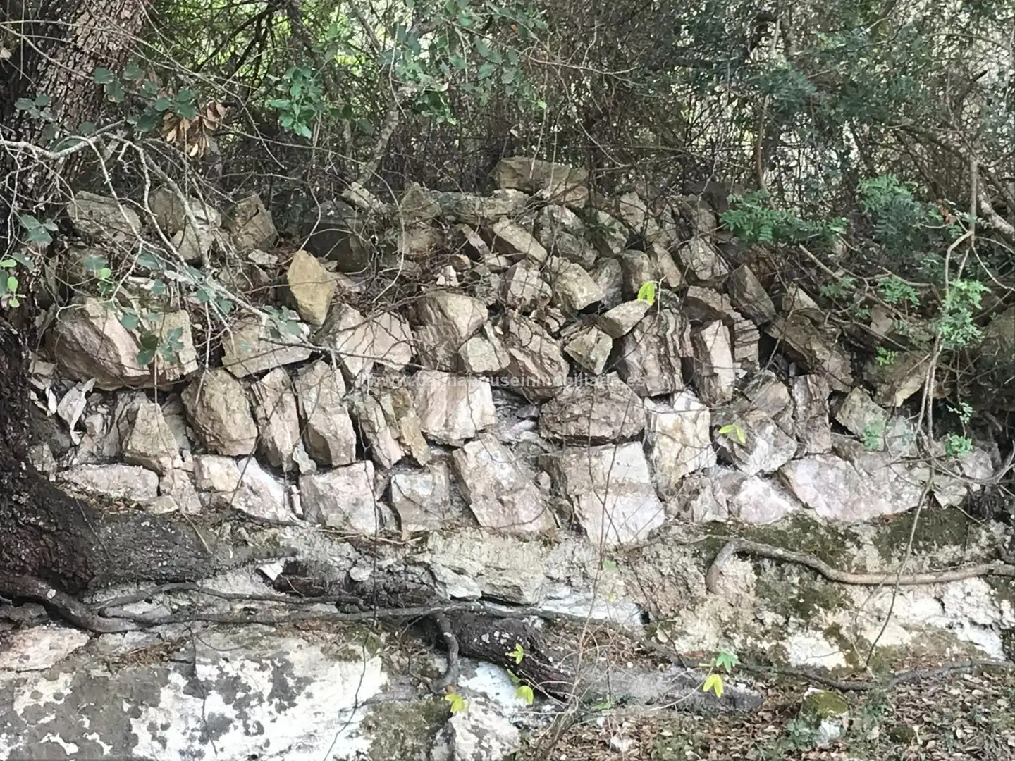 Vista exterior de Finca rústica en venta en Maria de la Salut con Calefacción y Terraza