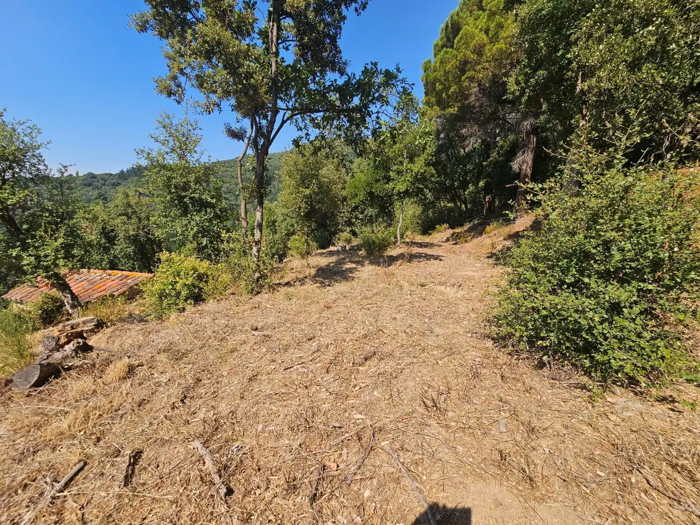Finca rústica en venda en Riells i Viabrea amb Jardí privat i Traster