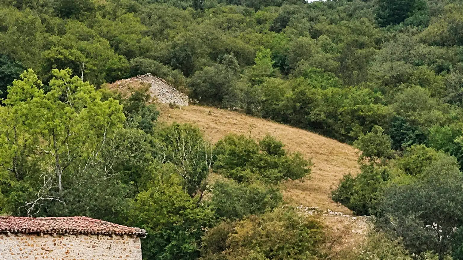 Casa amb jardí en venda a San Sebastián de Garabandal - MATAZORRA, imagen 17