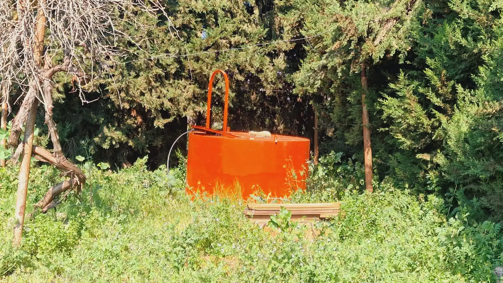 Jardín de Terreno en venta en El Carpio