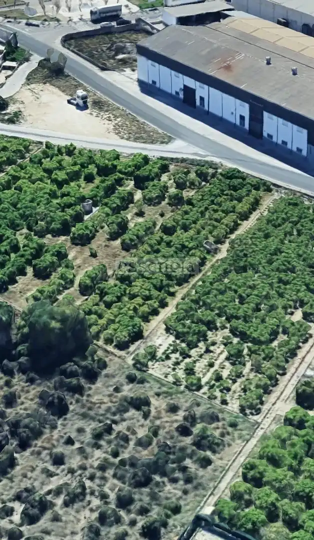 Residential land for sale in Beniarjó, imagen 5