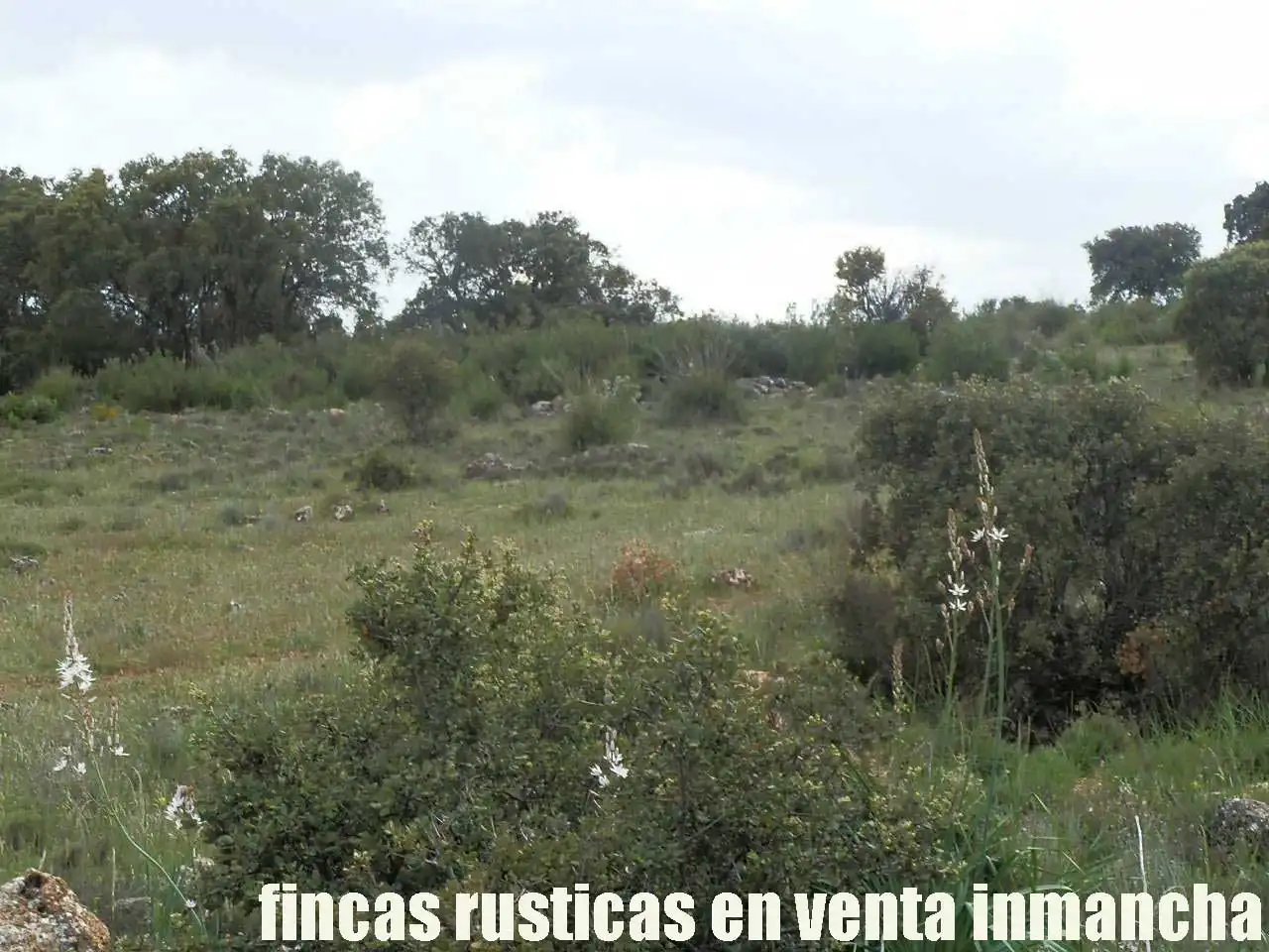 Terreno rustico in vendita a Ruidera, imagen 9