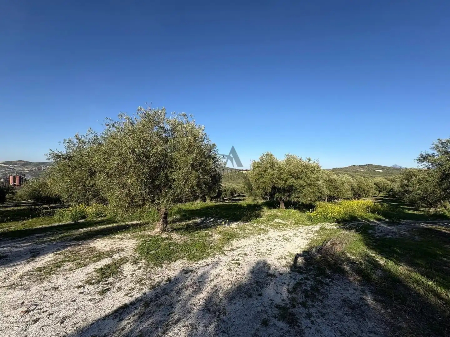 House for sale in Baena, imagen 31