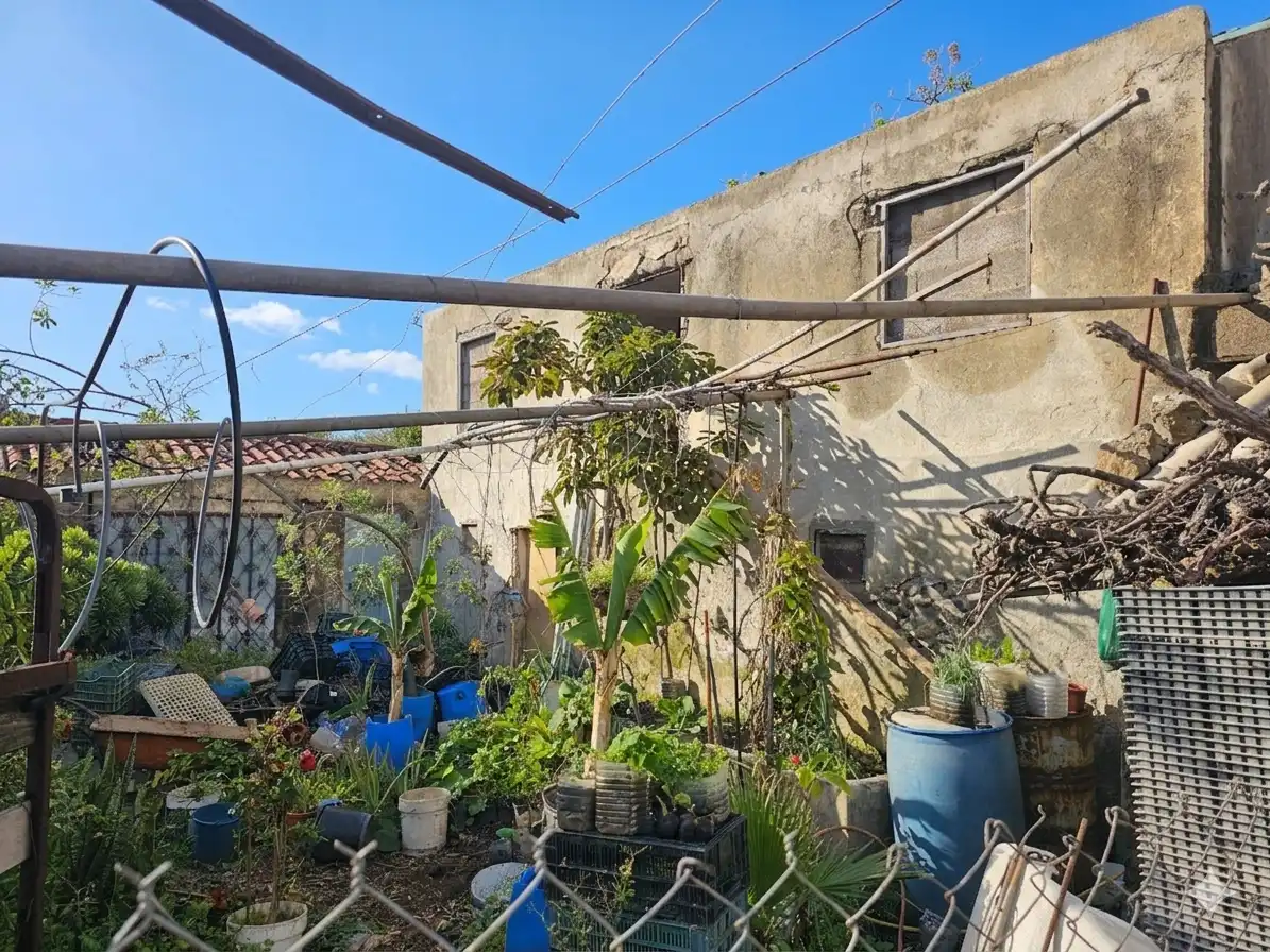 Garden of Country homes for sale in Icod de los Vinos