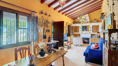 Foto 5 de Finca rústica en venda a Camino de Benamayor, 115o, Cómpeta, Málaga