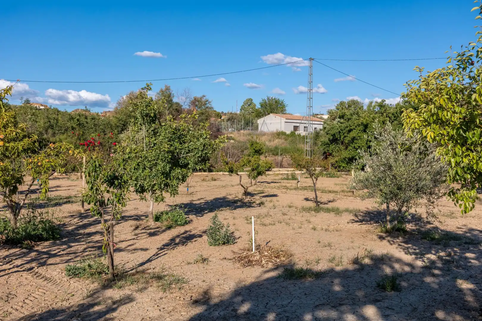 Casa o xalet en venda en Guadix amb Aire condicionat, Calefacció i Jardí privat