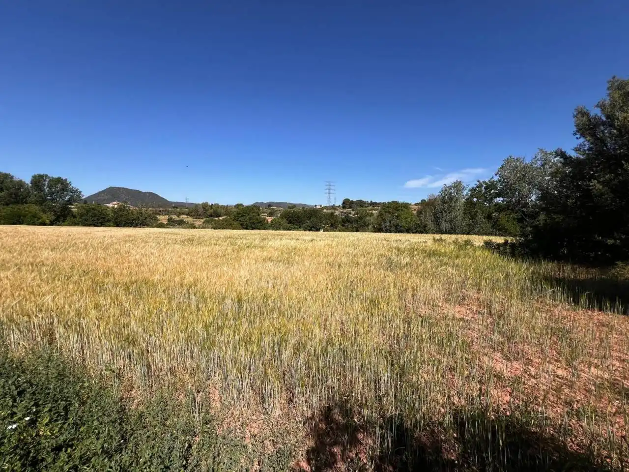 Rural land for sale in Barri Mion - Puigberenguer, imagen 2