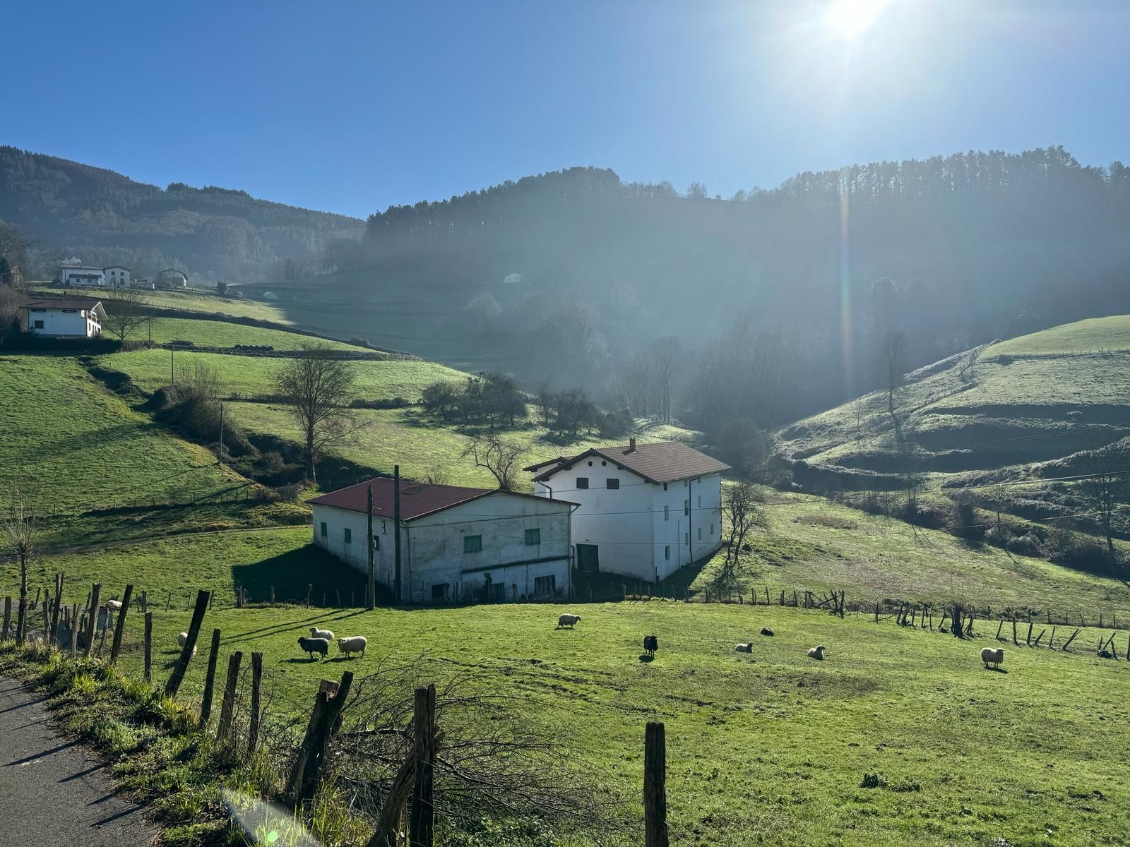 Exterior view of House or chalet for sale in Altzo  with Furnished