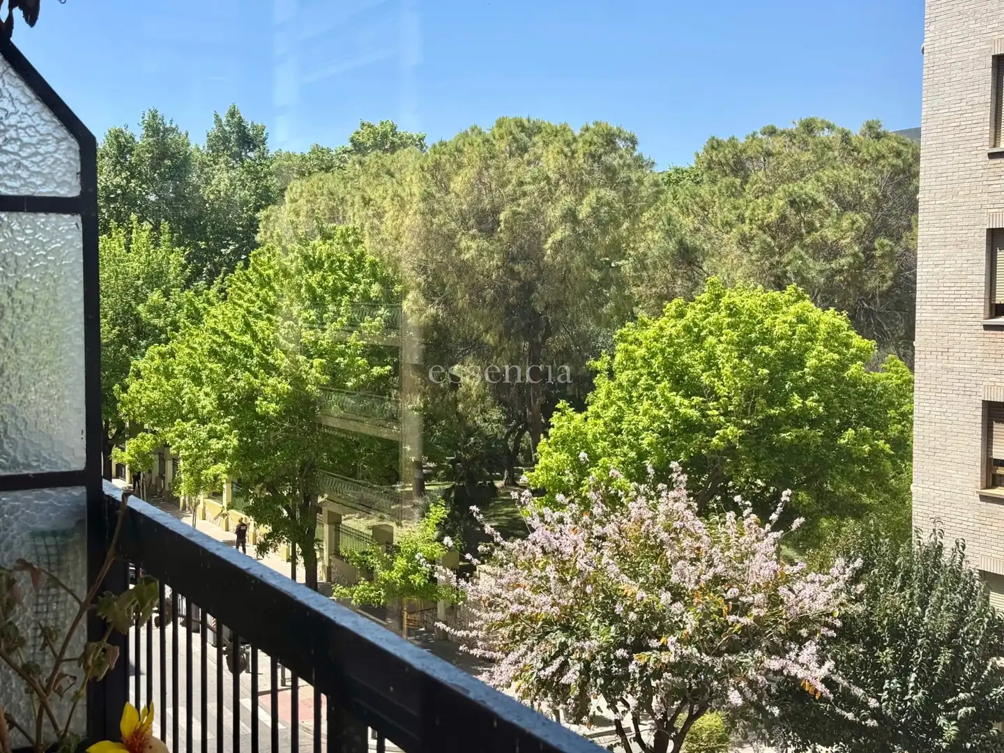 Vista exterior de Piso en venta en Gandia con Balcón