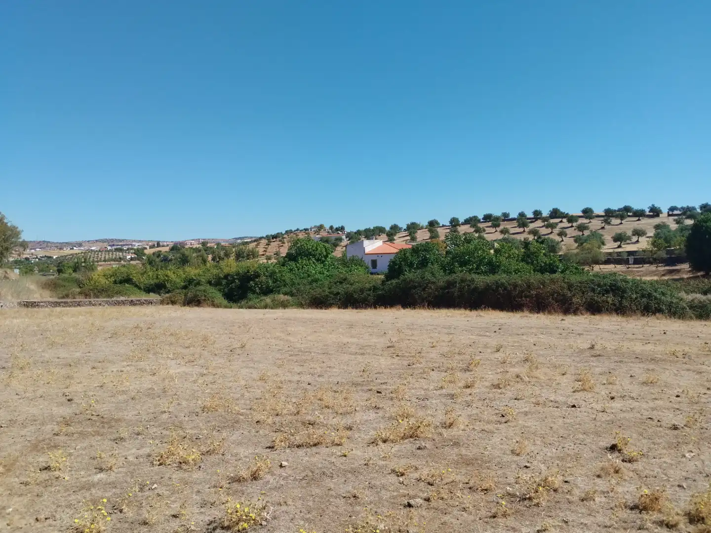 Casa rústica amb jardí en venda a Zafra, imagen 4