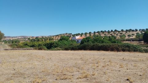 Foto 4 de Finca rústica en venta en Zafra, Badajoz