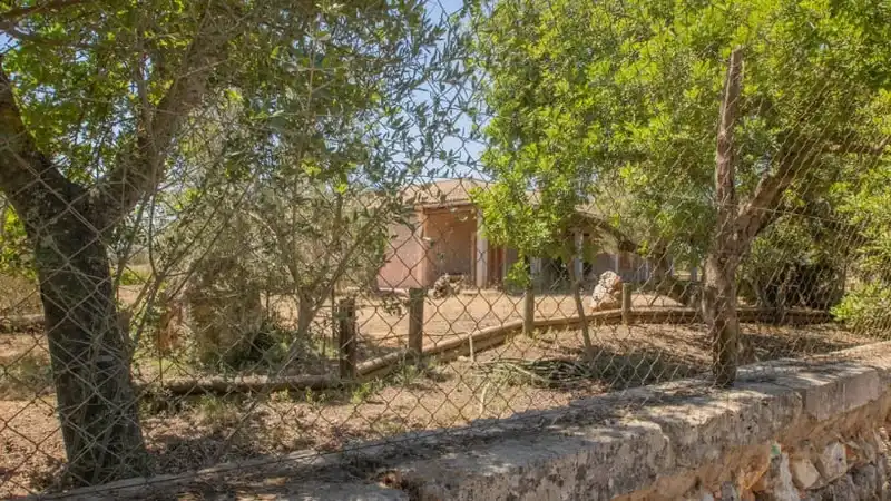 Casa o chalet en venta en Carrer Jaume I, Santa María del Camí