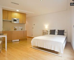 Dormitori de Estudi per a compartir en  Madrid Capital amb Terrassa