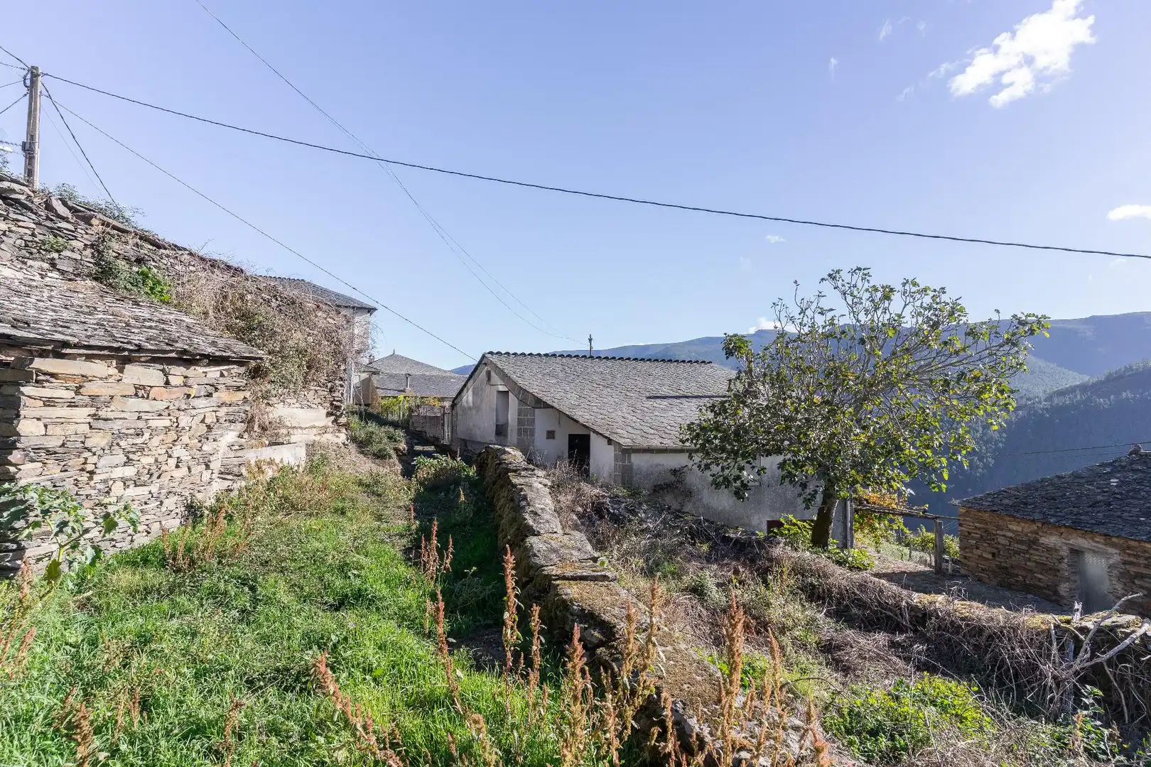 Vista exterior de Finca rústica en venda en Negueira de Muñiz , Lugo