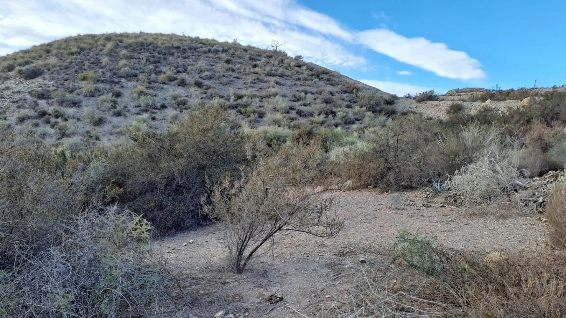 Land for sale in Águilas