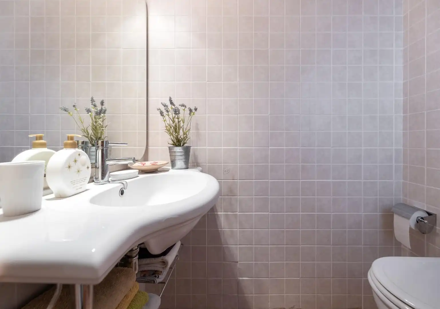 Baño de Casa o chalet en venta en Peligros, Granada