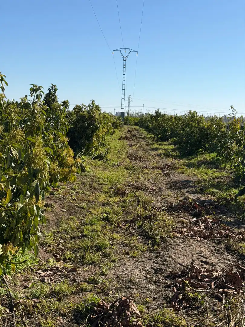 Terreno en venta en Piles