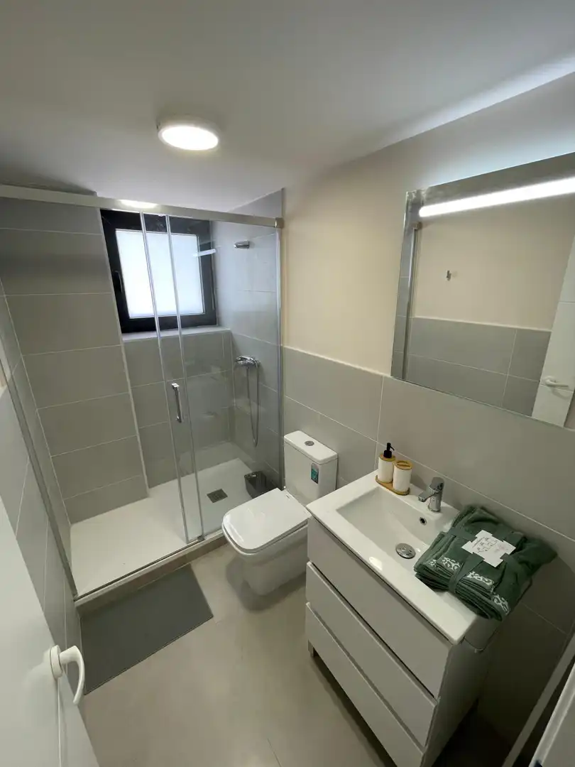 Bany de Apartament de lloguer en Granada amb Aire condicionat, Calefacció i Moblat