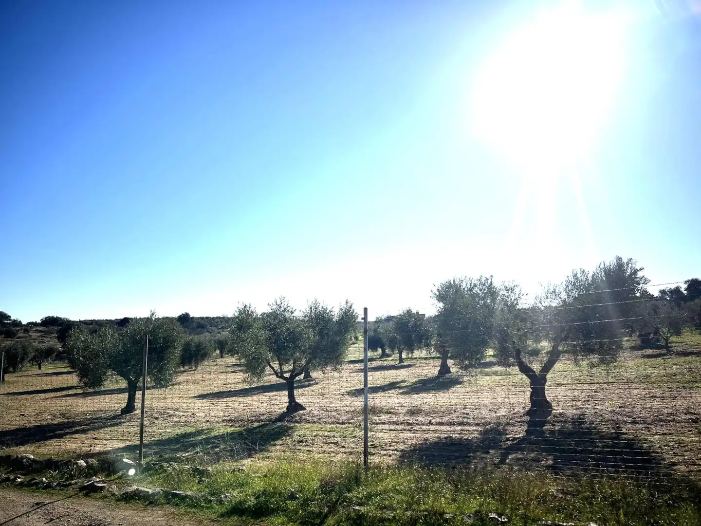 Chalet en venta en Camino Polígono 12 Parcela 105 PAJON. LA HABA (BADAJOZ), imagen 14