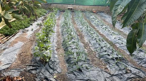 Photo 4 of Land for sale in Urbanizacion Nuevo Almayate I, Almayate, Vélez-Málaga