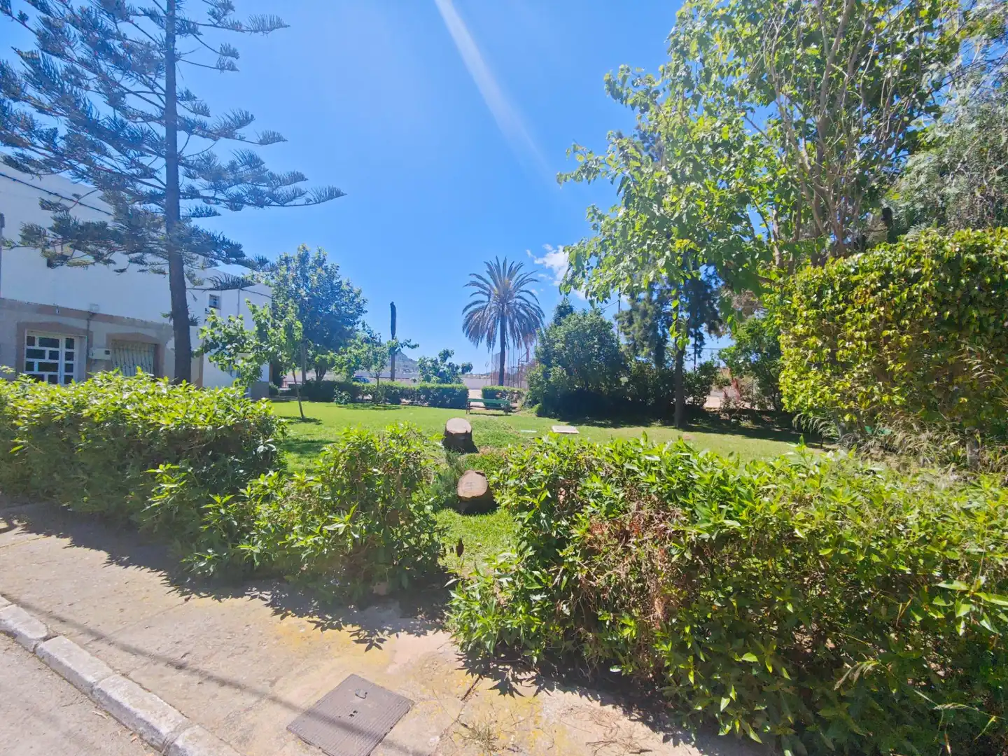 Jardí de Casa o xalet en venda en Cartagena amb Jardí privat, Terrassa i Moblat