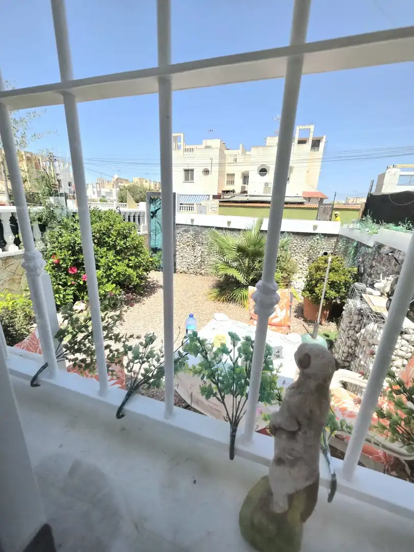 Jardí de Casa o xalet en venda en Torrevieja amb Aire condicionat, Jardí privat i Terrassa